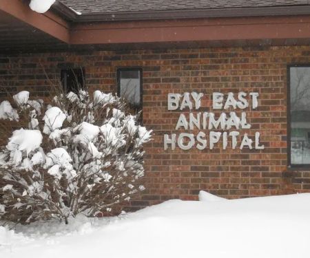 Bay East Animal Hospital