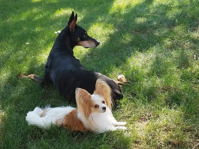 Bay East Animal Hospital Picture 7