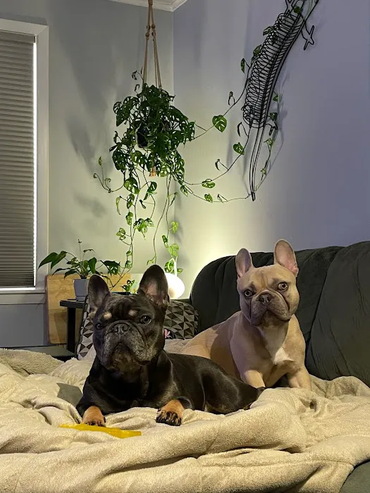 Bay East Animal Hospital Picture 6