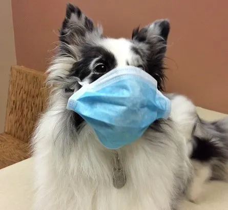 Bay East Animal Hospital Picture 3