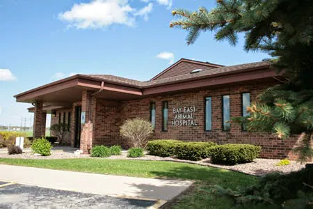 Bay East Animal Hospital Picture 2
