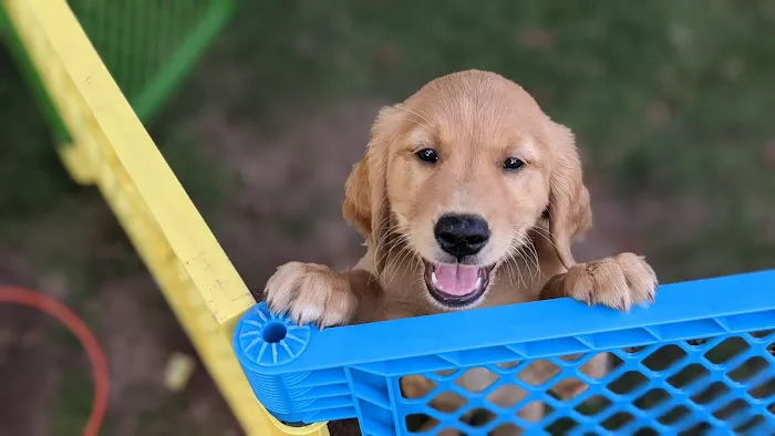 Bay East Animal Hospital Picture 9