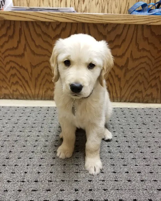 Bay East Animal Hospital Picture 8