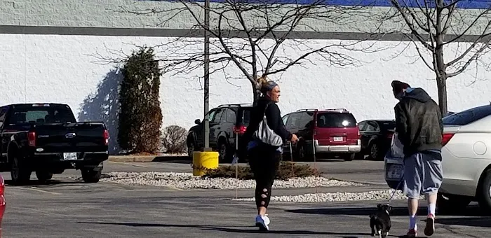 Paws & Co Clinics Picture 8