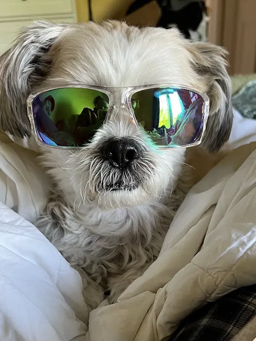 Dr James Ross Schilling Picture 3