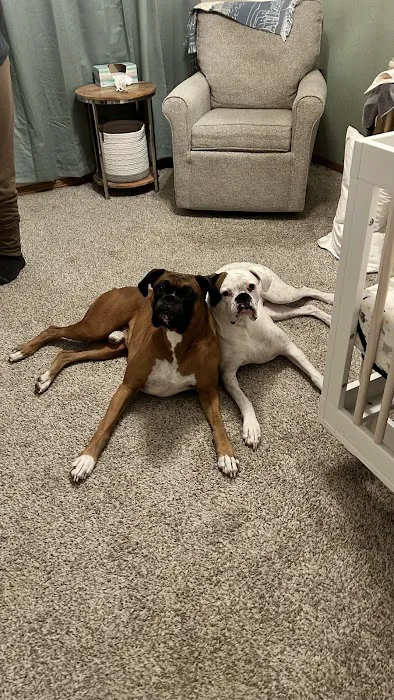 The Animal House Groom and Board Picture 1