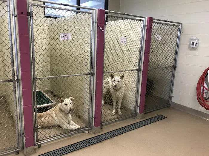 The Animal House Groom and Board Picture 6