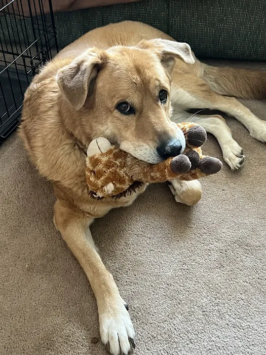 The Animal House Pet Clinic Picture 10