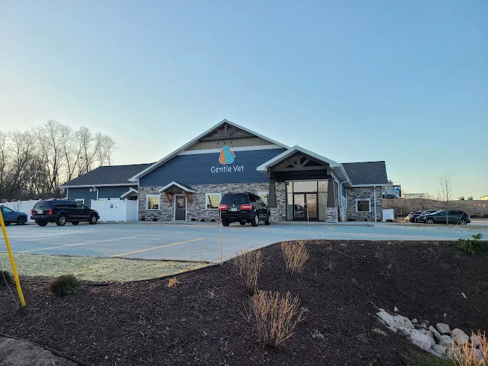 Gentle Vet Animal Hospital Picture 2
