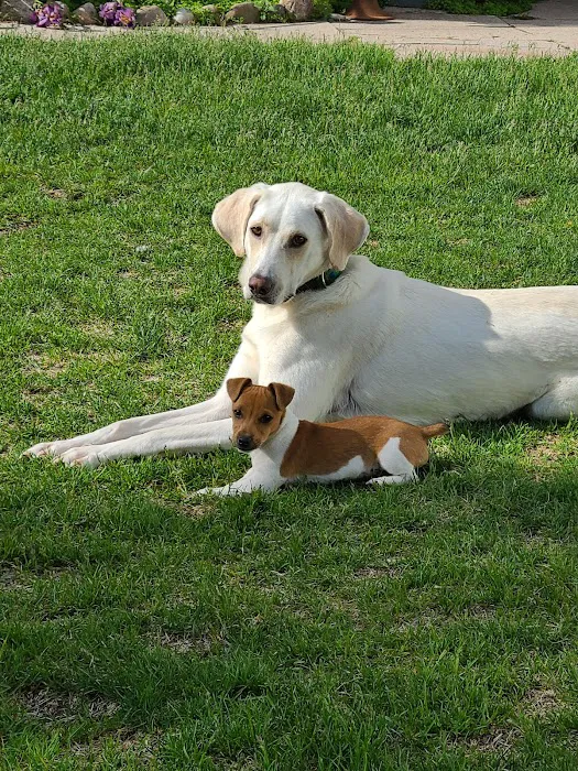 Gentle Vet Animal Hospital Picture 8