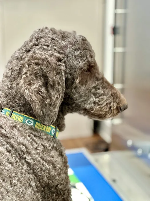 Gentle Vet Animal Hospital Picture 4