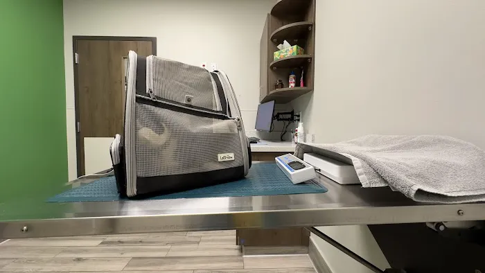 Gentle Vet Animal Hospital Picture 5