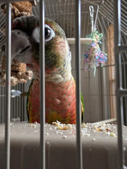 Gentle Vet Animal Hospital Picture 9