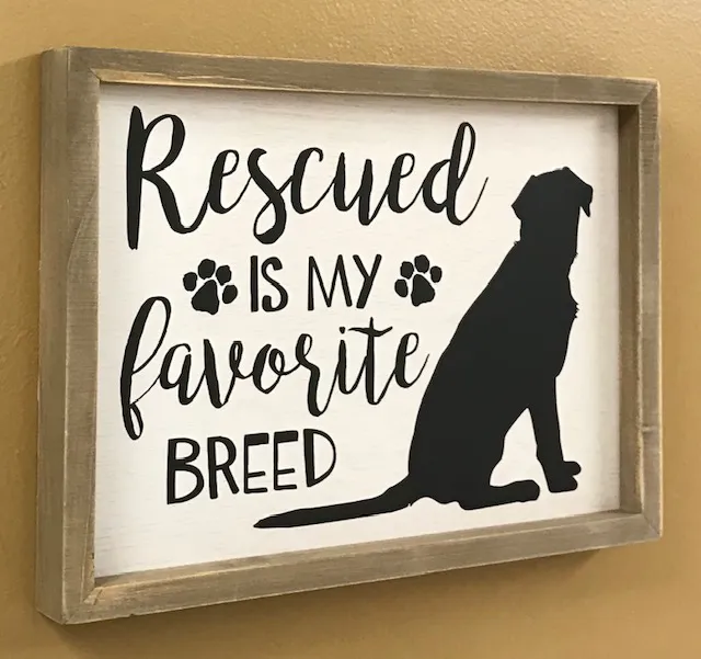 Oak View Veterinary Hospital: Ruth A Hanson, DVM Picture 9