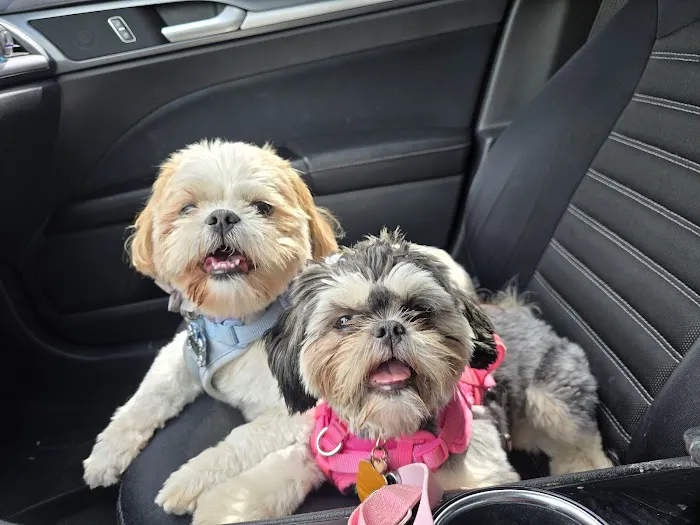 Oak View Veterinary Hospital Picture 7