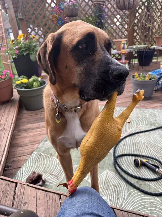 Oak View Veterinary Hospital Picture 6