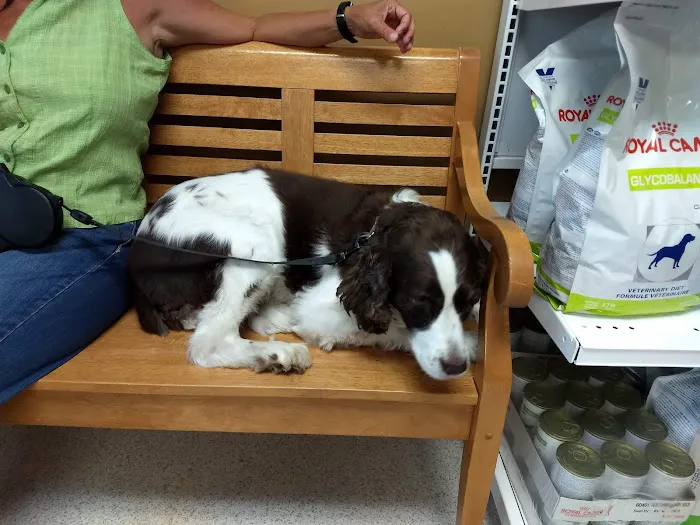 Oak View Veterinary Hospital Picture 3