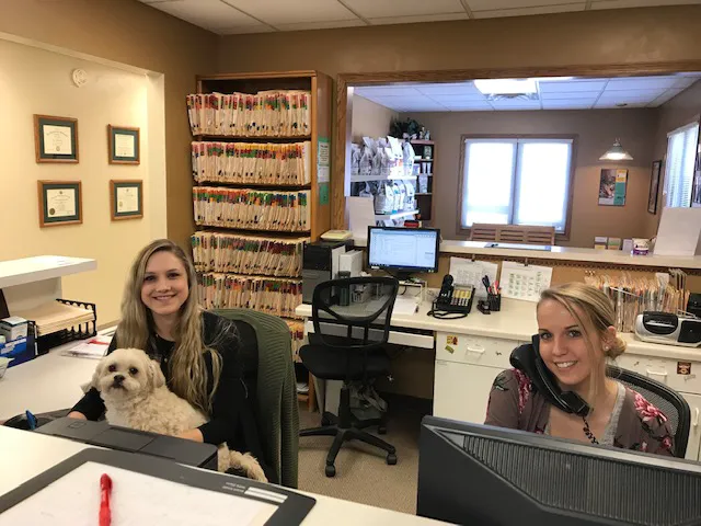 Oak View Veterinary Hospital Picture 10