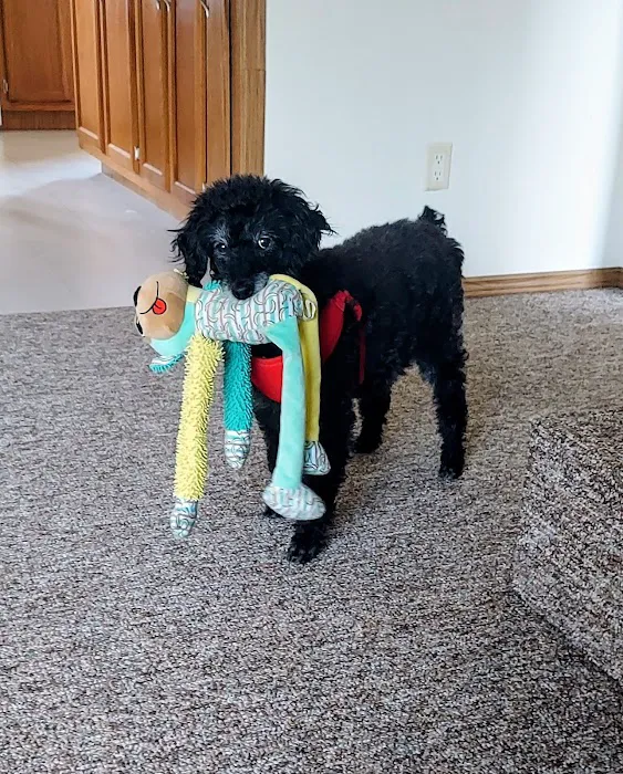 Oak View Veterinary Hospital Picture 8