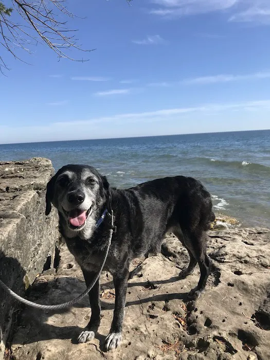 Oak View Veterinary Hospital Picture 9