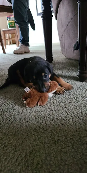 Mid-County Veterinary Clinic Picture 1