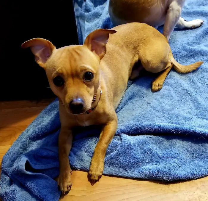 Kettle Moraine Veterinary Clinic Picture 1