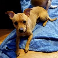 Kettle Moraine Veterinary Clinic ico