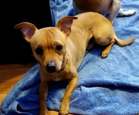 Kettle Moraine Veterinary Clinic