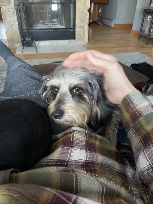 Kettle Moraine Veterinary Clinic Picture 4