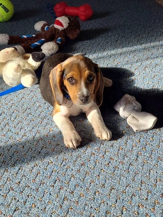 Kettle Moraine Veterinary Clinic Picture 3