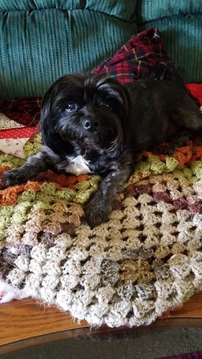 Kettle Moraine Veterinary Clinic Picture 2