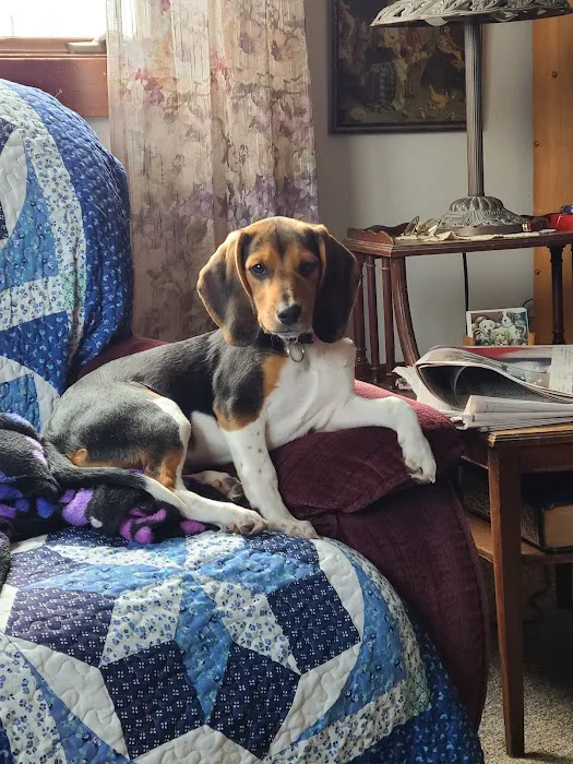 Kettle Moraine Veterinary Clinic Picture 5