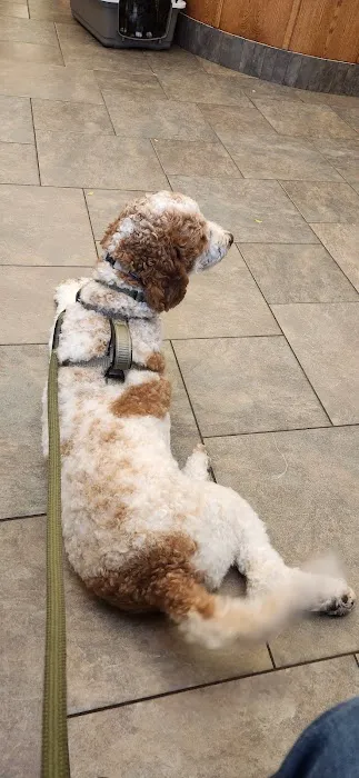 Kettle Moraine Veterinary Clinic Picture 8