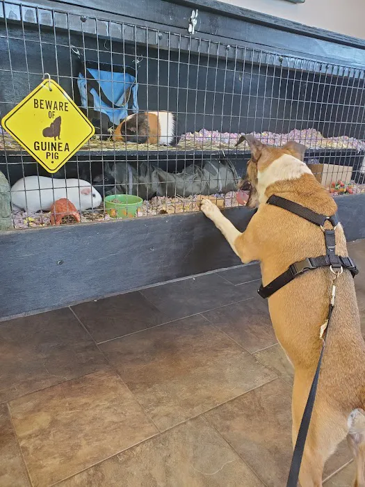 Kettle Moraine Veterinary Clinic Picture 7