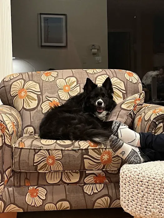 Kettle Moraine Veterinary Clinic Picture 9