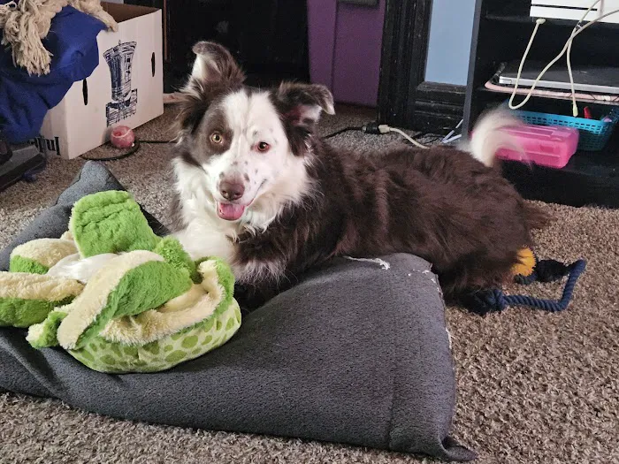 Kettle Moraine Veterinary Clinic Picture 10