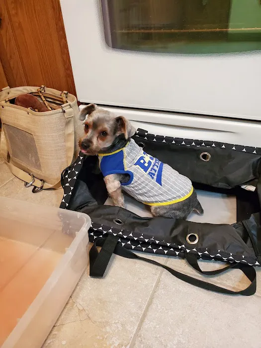 Bohn G a DVM Picture 1