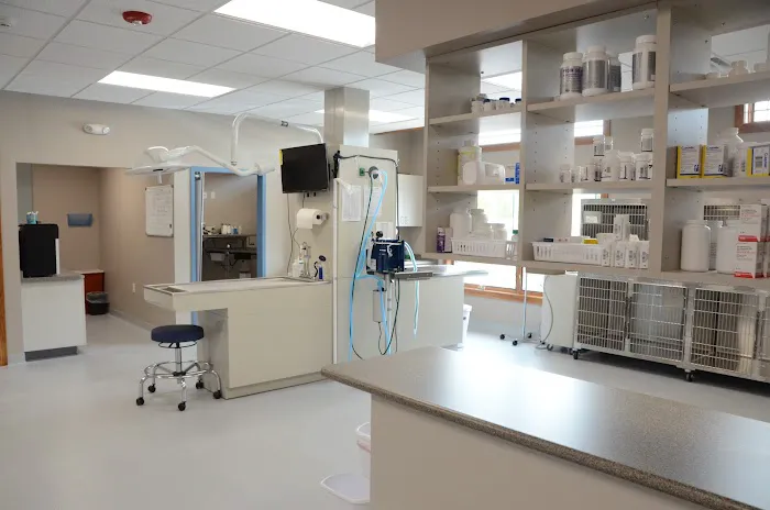 Compassionate Care Animal Clinic - Dr. John Prellwitz Picture 1