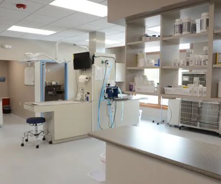 Compassionate Care Animal Clinic - Dr. John Prellwitz