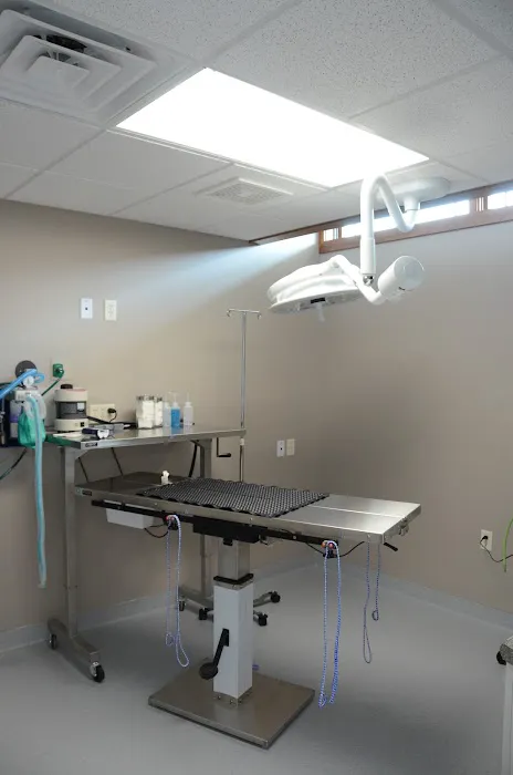 Compassionate Care Animal Clinic - Dr. John Prellwitz Picture 7