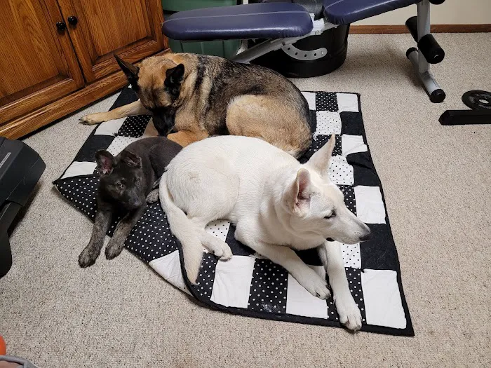 Compassionate Care Animal Clinic - Dr. John Prellwitz Picture 6