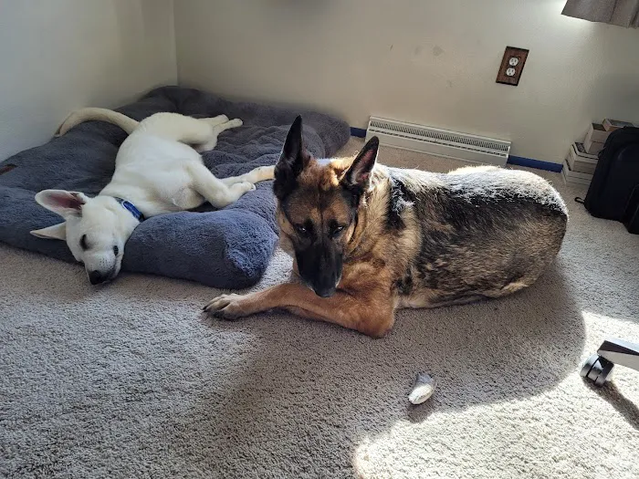 Compassionate Care Animal Clinic - Dr. John Prellwitz Picture 2