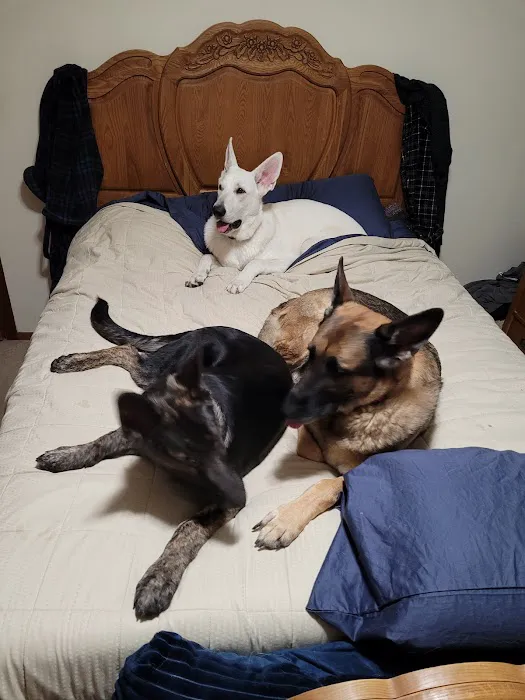 Compassionate Care Animal Clinic - Dr. John Prellwitz Picture 4