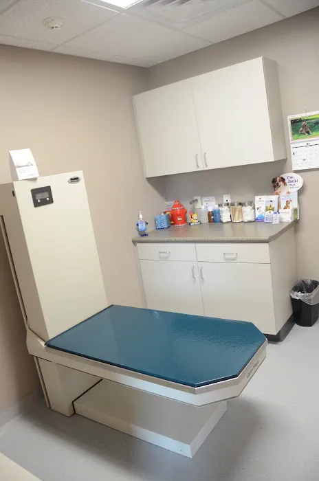 Compassionate Care Animal Clinic - Dr. John Prellwitz Picture 3