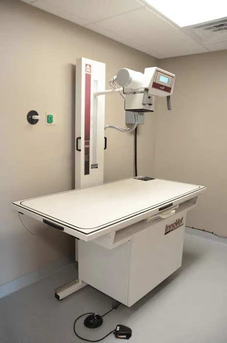 Compassionate Care Animal Clinic - Dr. John Prellwitz Picture 5