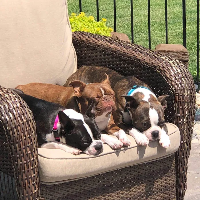 St Anna Veterinary Clinic Picture 3