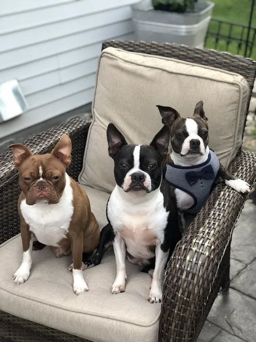 St Anna Veterinary Clinic Picture 2