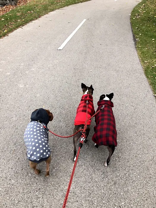 St Anna Veterinary Clinic Picture 5