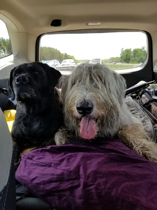 St Anna Veterinary Clinic Picture 9