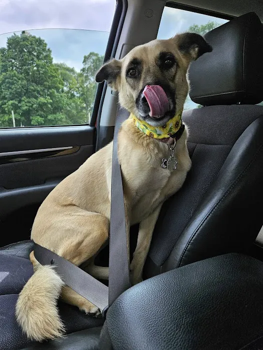 St Anna Veterinary Clinic Picture 10